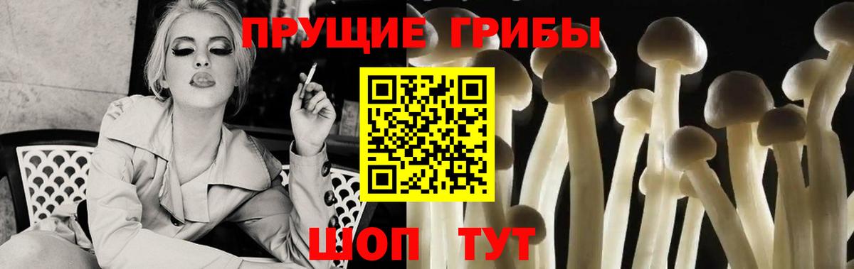 Армавир  Псилоцибиновые грибы Psilocybe  магазин    Вход с VPN 